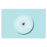 Fotografie Small Cherry Tomato With Big Blue Plate, MirageC, 40x26.7 cm