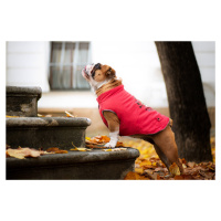 Vsepropejska Bulldog zimní bunda pro psa Barva: Červená, Délka zad (cm): 20, Obvod hrudníku: 30 