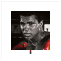 Umělecký tisk Muhammad Ali Boxing S., (40 x 40 cm)
