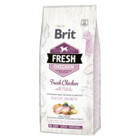 Brit Fresh Chicken with Potato Puppy Healthy Growth - 12 kg