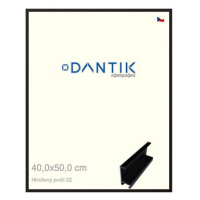 DANTIK rámeček 40 × 50, ALU profil 7022 Černý matný plexi čiré