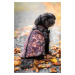 Vsepropejska Adon zimní bunda pro psa s postrojem Barva: Hnědá, Délka zad (cm): 42, Obvod hrudní