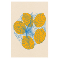 Ilustrace Five Lemons In a Net Bag, Rosi Feist, (26.7 x 40 cm)