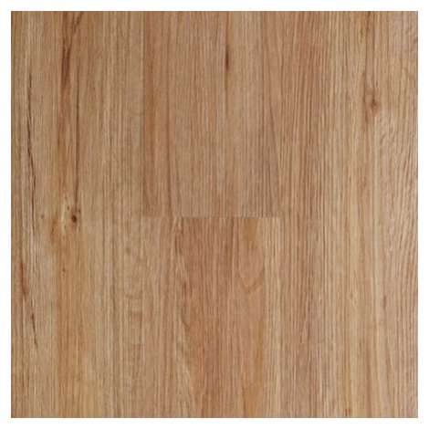Vinylová lepená podlaha dub Northland 2 mm WINHOM-10200 Naturel