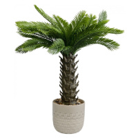 KARE Design Dekorativní rostlina Cycas 70cm