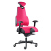 PROWORK zdravotní židle Therapia Body+ Flamingo HX60/KX99