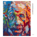 Diamantové malování - ALBERT EINSTEIN V BARVÁCH Rozměr: 40x50 cm, Rámování: vypnuté plátno na rá