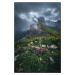 Umělecká fotografie Dolomites - Seceda 2500, Jean Claude Castor, (26.7 x 40 cm)