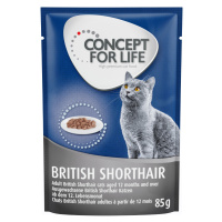 Concept for Life British Shorthair Adult - Vylepšená receptura! - Nový doplněk: 12 x 85 g Concep