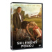 Skleněný pokoj - DVD