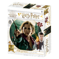 3D PUZZLE Harry Potter Hermiona Granger 300 dílků