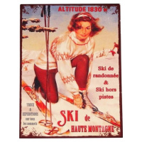 Kovová cedule 25x33 cm Ski – Antic Line