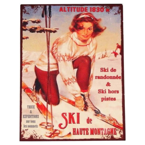 Kovová cedule 25x33 cm Ski – Antic Line