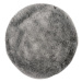 Obsession koberce Kusový koberec Samba 495 Silver kruh - 160x160 (průměr) kruh cm