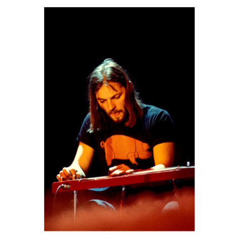 Plakát, Obraz - Pink Floyd, 26.7 × 40 cm