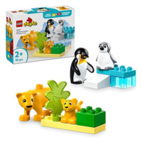 LEGO® DUPLO® 10442 Rodinky divokých zvířat: Tučňáci a lvi