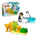 LEGO® DUPLO® 10442 Rodinky divokých zvířat: Tučňáci a lvi