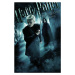 Umělecký tisk Harry Potter and The Half-Blood Prince - Draco Malfoy, 26.7x40 cm