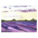 Ilustrace Watercolor lavender field, hand drawn Provencal, Elena Dorosh, 40 × 30 cm