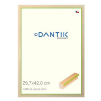 DANTIK rámeček 29,7 × 42, CARINA zelený plexi čiré