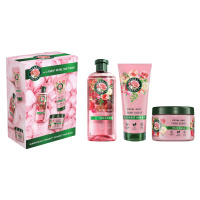 Herbal Essences Rose Petal Soft dárková sada