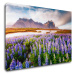 Impresi Obraz Horská krajina s květinami - 90 x 60 cm