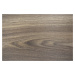 Beauflor PVC podlaha Quintex Gambel Oak 669D  - dub - Rozměr na míru cm