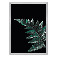 Dekoria Plakát Dark Fern Leaf, 30 x 40 cm, Volba rámku: Stříbrný