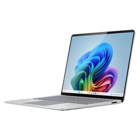 Microsoft ZGM-00024 Platinová