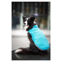 Vsepropejska Sonda oboustranná bunda pro psa Barva: Modrá, Délka zad (cm): 35, Obvod hrudníku: 4