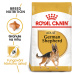 Royal Canin Dog Adult German Shepherd - 11kg