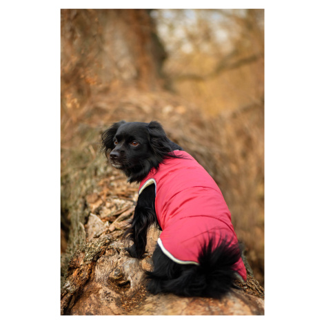 Vsepropejska Celine zimní bunda pro psa Barva: Vínová, Délka zad (cm): 23, Obvod hrudníku: 26 - 