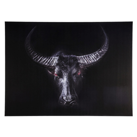 Euroart MALBA NA PLÁTNĚ, zvířata cm