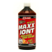 Xxlabs Maxx Iont Sport drink broskev 1000 ml