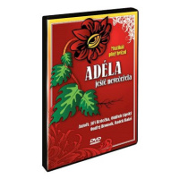 Adéla ještě nevečeřela - DVD