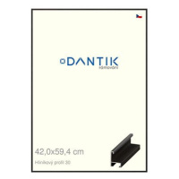 DANTIK rámeček 42 × 59,4, ALU profil 6030 Dýha černý plexi čiré