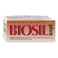 Naturvita Biosil Plus 60 tablet