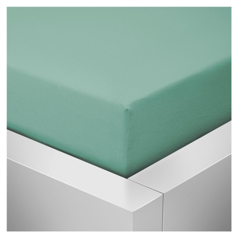 Homeville jersey prostěradlo ELASTIC celadon - 180x200 cm