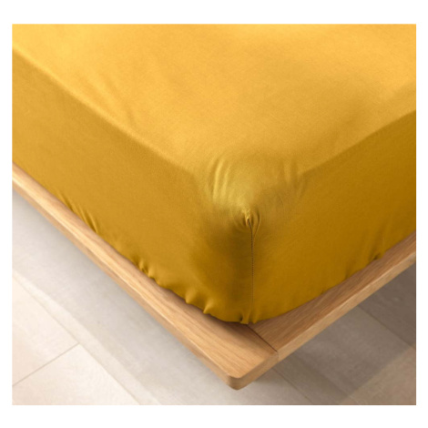 Žluté napínací prostěradlo z Bio bavlny 160x200 cm Biolina – douceur d'intérieur