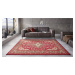 Nouristan - Hanse Home koberce Kusový koberec Mirkan 104098 Oriental red - 120x170 cm