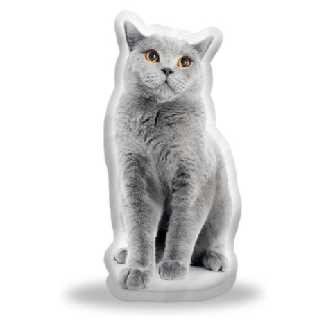 3D polštář ve tvaru Britská kočka