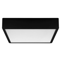 Rabalux Rabalux 71247 - LED Stropní svítidlo LAURI LED/22W/230V 21x21 cm černá