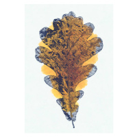 Ilustrace Blue Oak leave composition, herbarium, autumn bouquet, oxygen, 26.7 × 40 cm