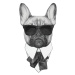 Nažehlovací nálepka pes s brýlemi - 21 x 30 cm Aladine