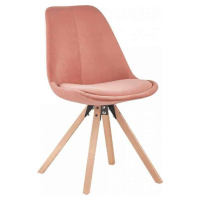 Tempo Kondela Židle SABRA - růžová/buk + kupón KONDELA10 na okamžitou slevu 3% (kupón uplatníte 