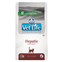 Vet Life Natural CAT Hepatic 400 g