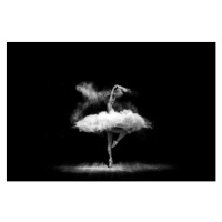 Fotografie Beautiful ballet dancer, dancing with powder, 101cats, 40 × 26.7 cm