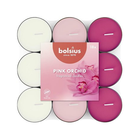 BOLSIUS Pink Orchid 260 g, 18 ks