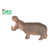 Atlas B Hroch 10cm