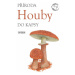 Houby